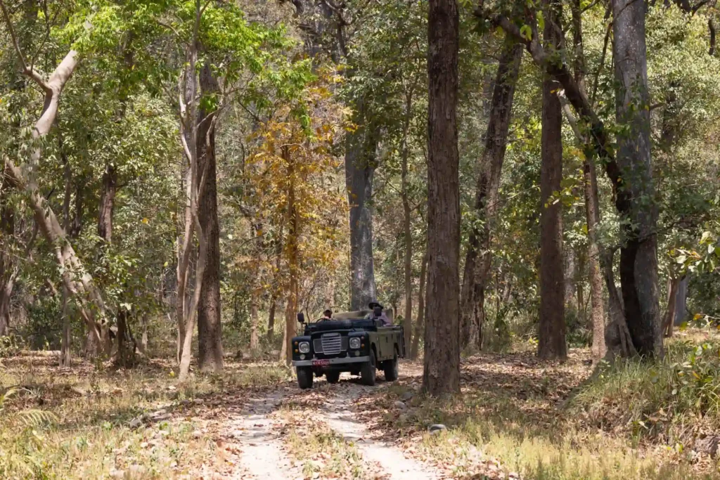 accessible wildlife safaris nepal Wheelchair-friendly jeep safari in Chitwan National Park, Nepal